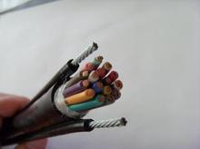 KVVRG，RVVGT行車(chē)控制電纜，升降機(jī)專(zhuān)用電纜